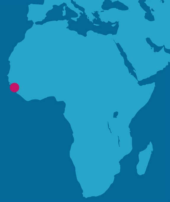 Africa Guinea