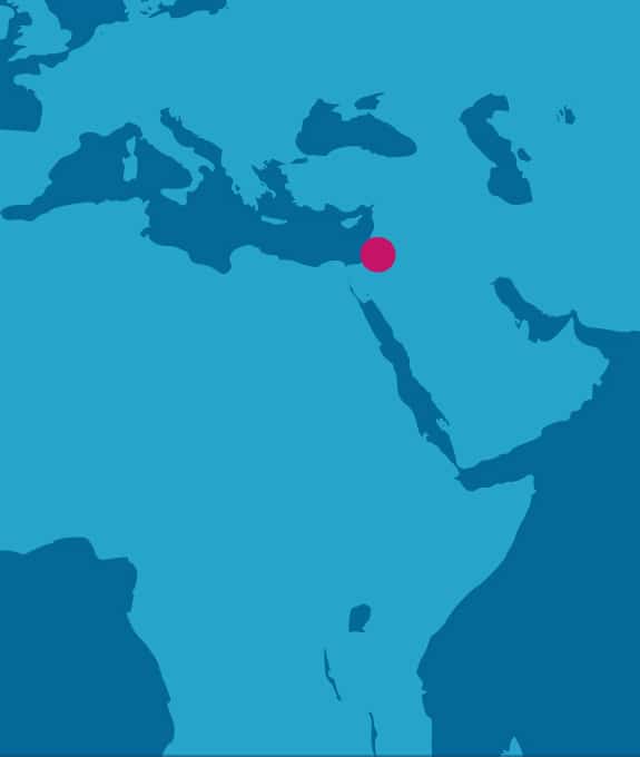 Arab States State of Palistine