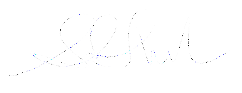 Shoko Noda signature